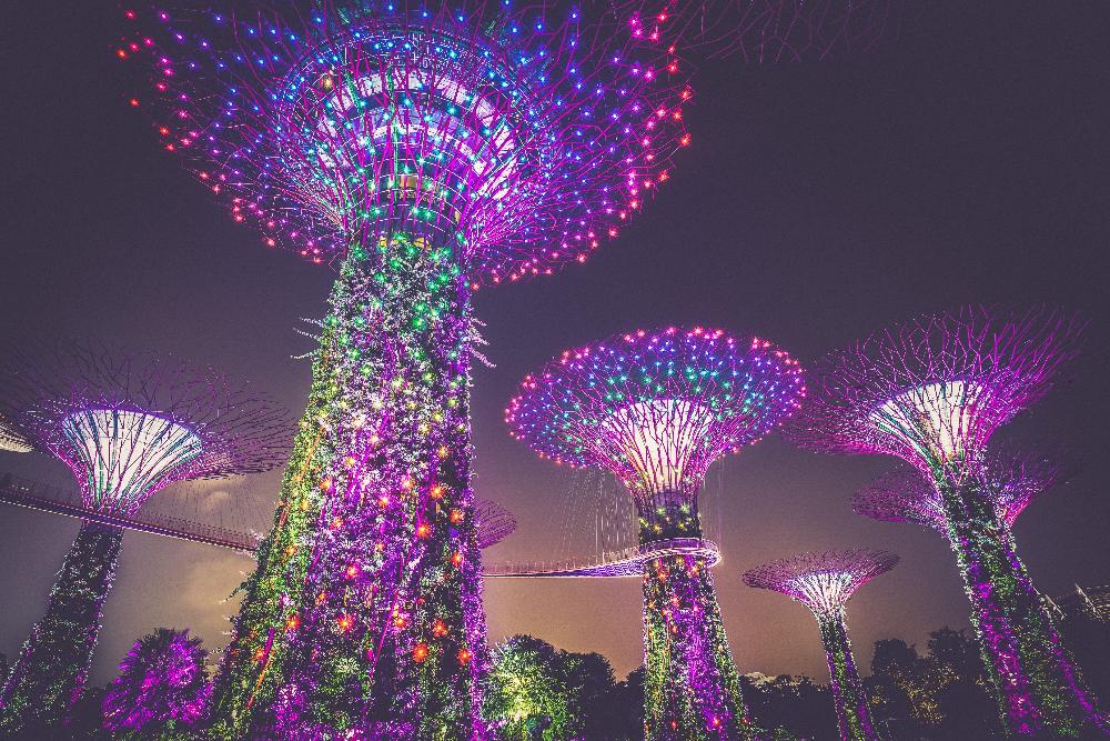 Purple Supertree Light Installation in Singapore