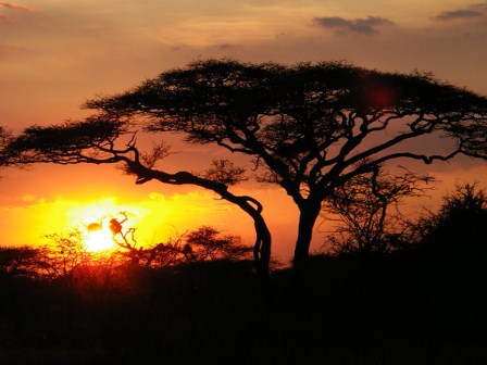 Sunset in Northern Tanzania by Alicia Davis