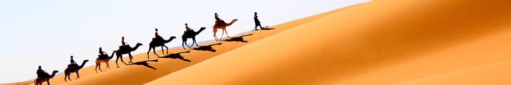 Students riding camels up a Moroccan sand dune