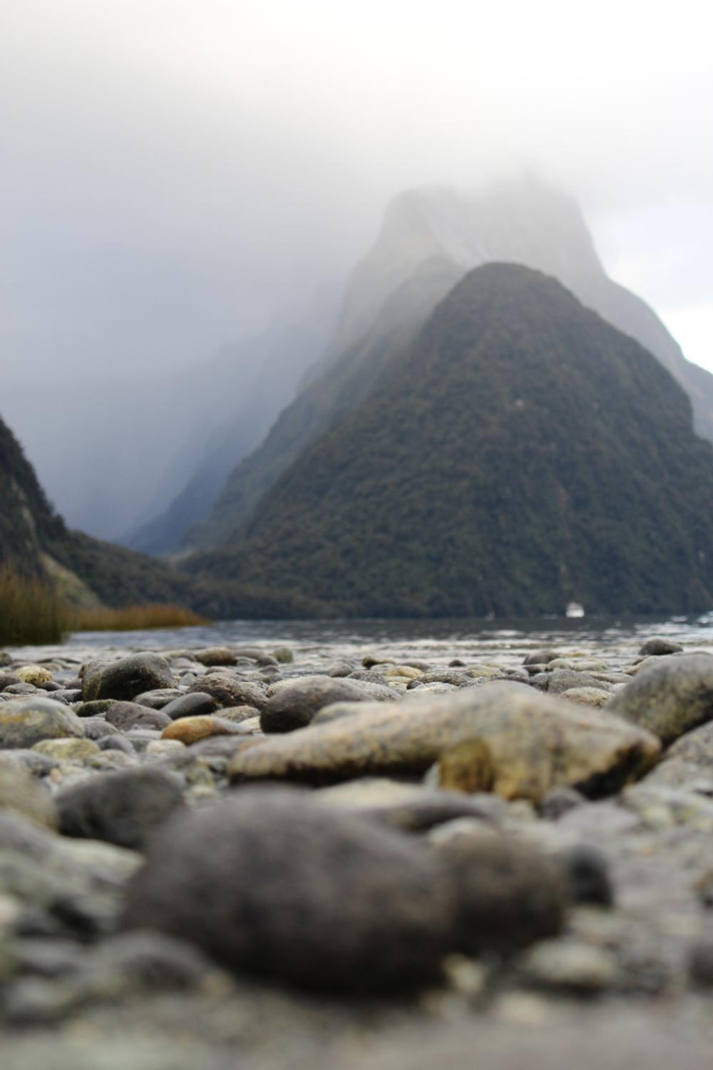 New Zealand by Leigh Hogle