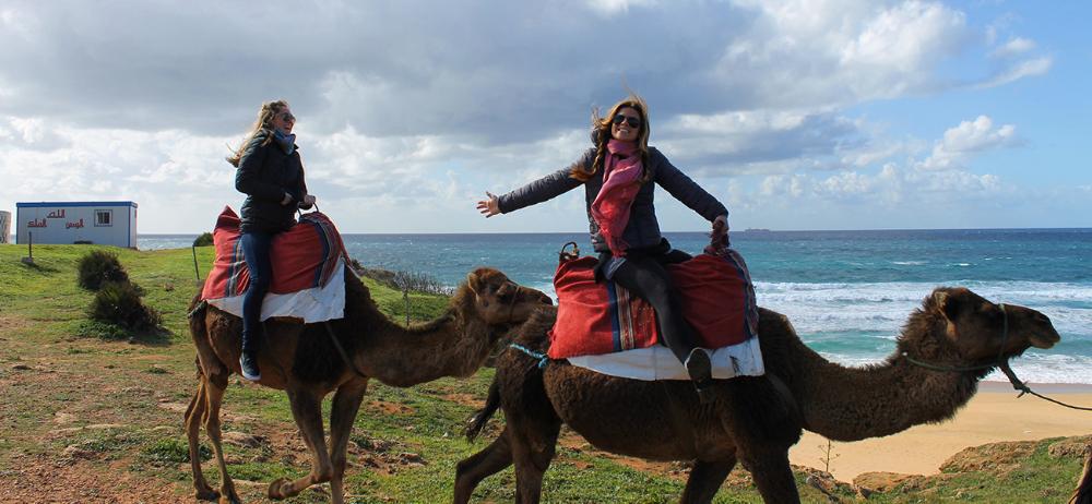 Students on camels in Morocco by Chloe Remington