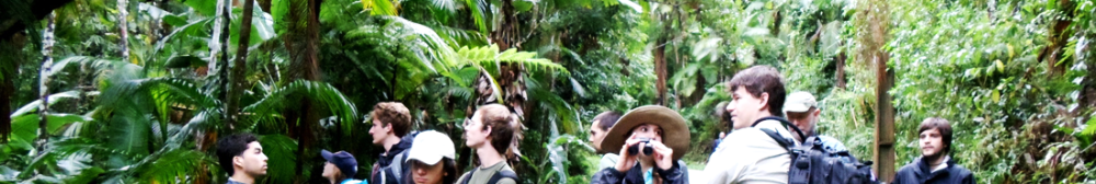 Students and a professor in the rain forest