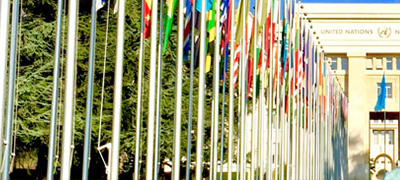 World flags in Geneva