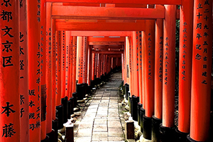Japanese pathway with red wooden shrine