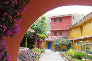 Colorful Peruvian house and flowers