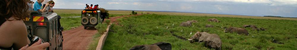 Students on Kenyan field study safari