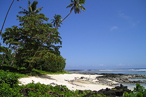 Samoan beach with palms