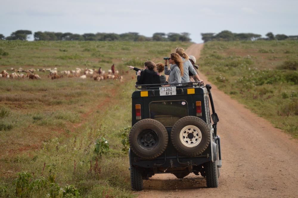 Students on safari in Tanzania