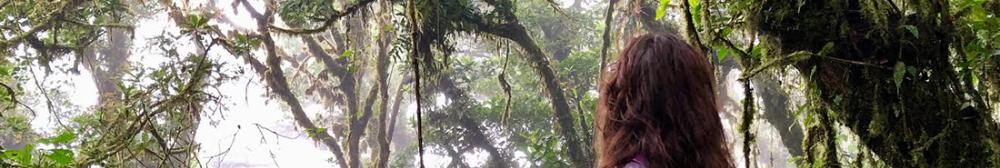 Student in Costa Rican cloud forest covered in moss by Sidney Du Varney