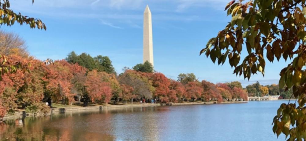 Washington Monument, Trees, and Water in D.C. by Tate Randel