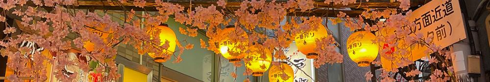 Commercial alley with cherry trees and lanterns, photo by Natalie Sesselman