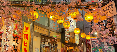 Store fronts with cherry trees and lanterns outside, photo by Natalie Sesselman