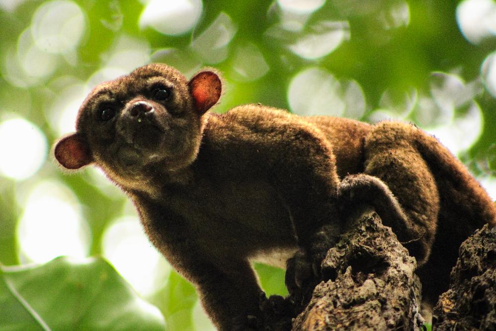 Ecuador by Cassidy Arnett