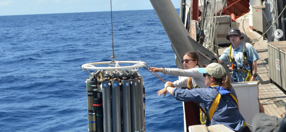 Students Doing Research at Sea