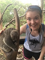 Wollongong_Koala